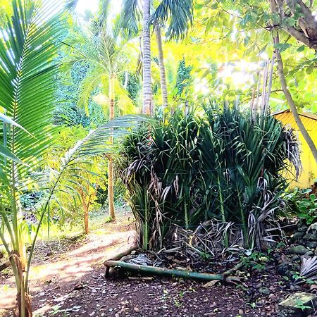 La Familia Guest House And Natural Farm ปอร์ตอันโตนิโอ ภายนอก รูปภาพ