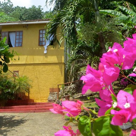 La Familia Guest House And Natural Farm ปอร์ตอันโตนิโอ ภายนอก รูปภาพ