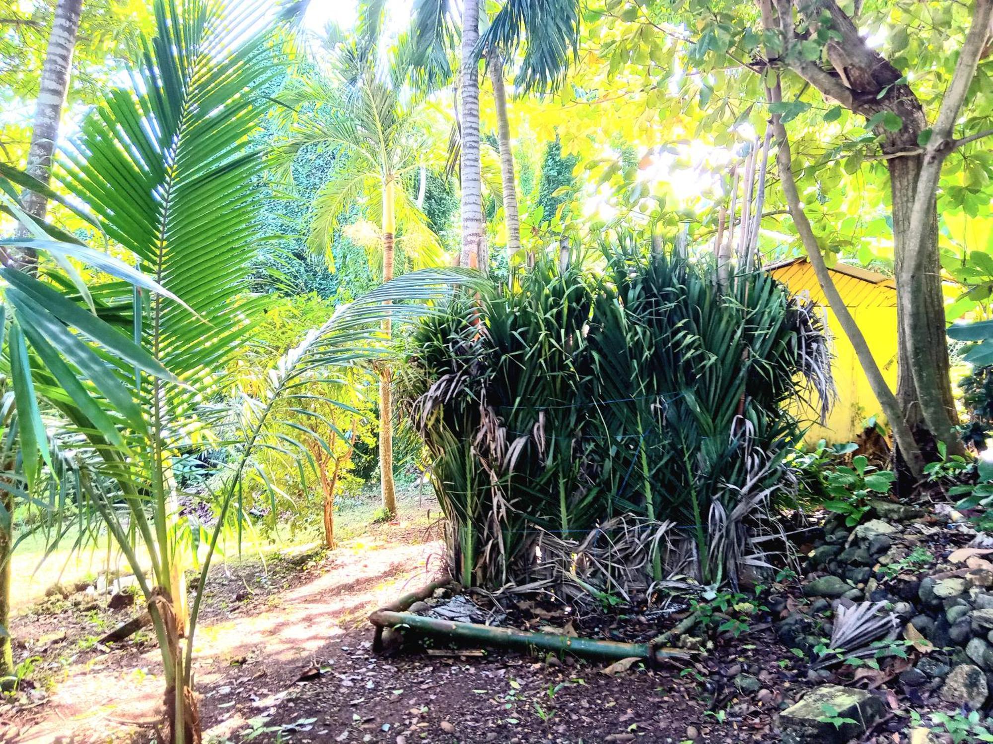 La Familia Guest House And Natural Farm ปอร์ตอันโตนิโอ ภายนอก รูปภาพ