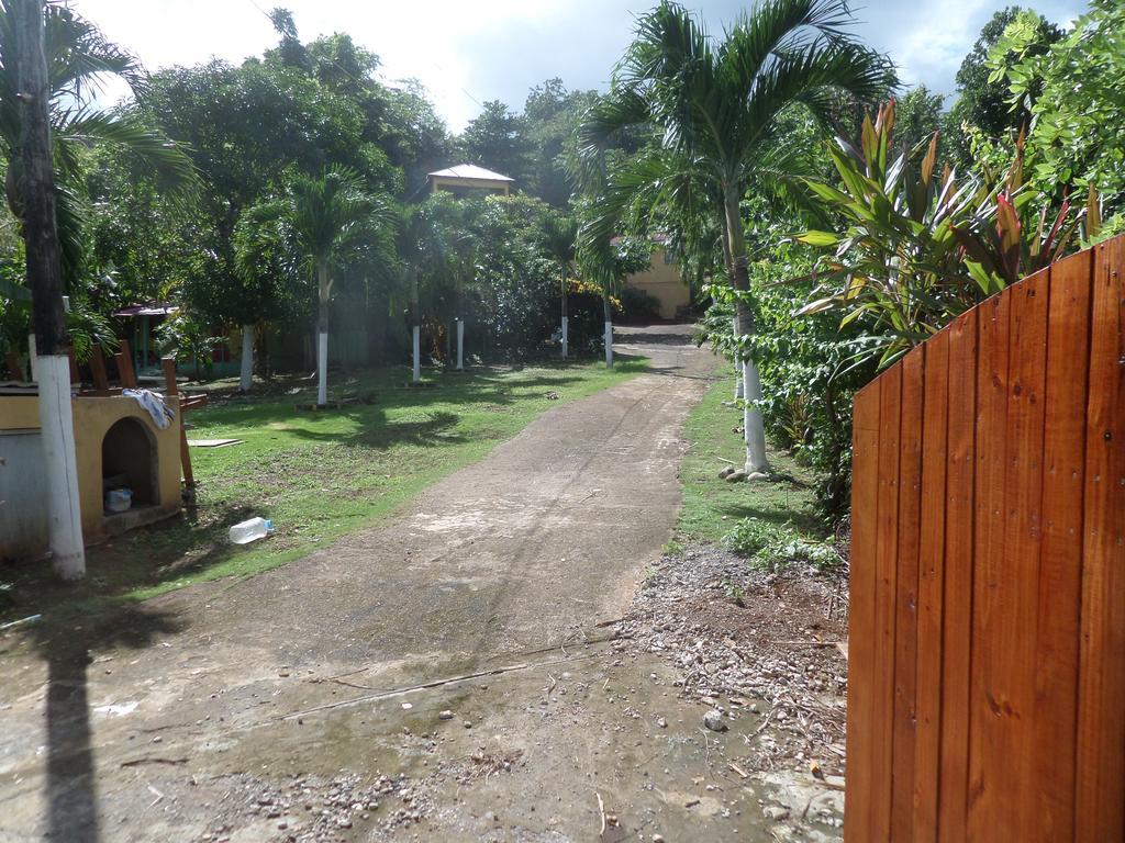 La Familia Guest House And Natural Farm ปอร์ตอันโตนิโอ ภายนอก รูปภาพ
