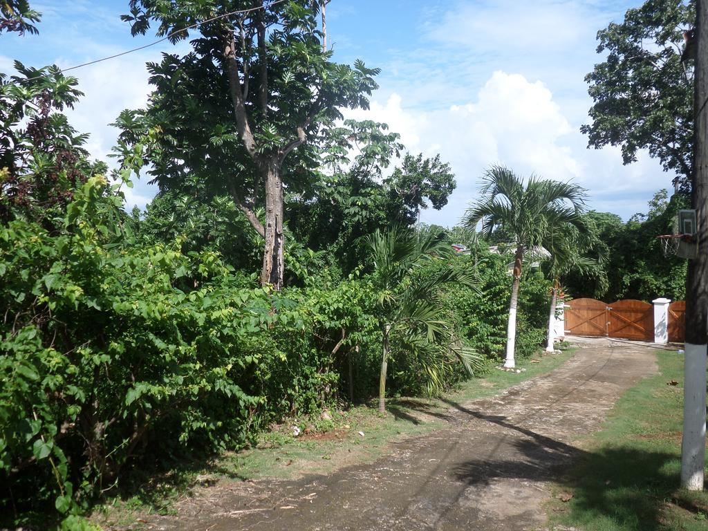 La Familia Guest House And Natural Farm ปอร์ตอันโตนิโอ ภายนอก รูปภาพ